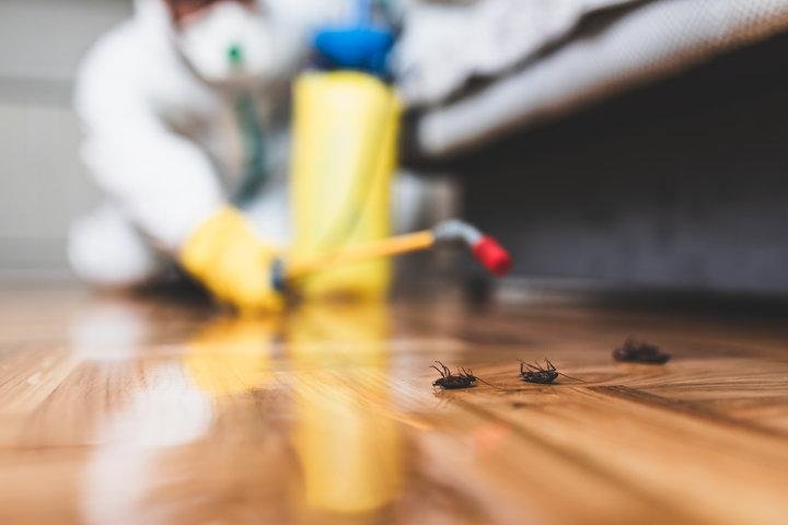 pestcontrol